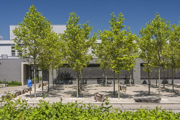 Fotoaufnahmen vom 06.06.2016